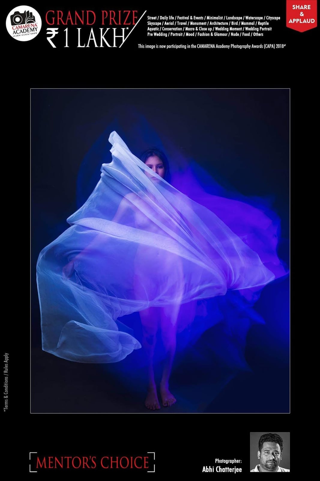 A CAMARENA Academy poster marked Mentor's Choice, showing a figure behind blue and purple sheer fabric.