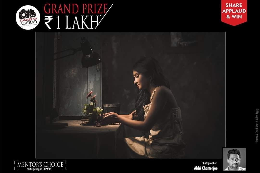 A CAMARENA Academy poster marked Mentor's Choice, showing a woman at a table with a lamp.