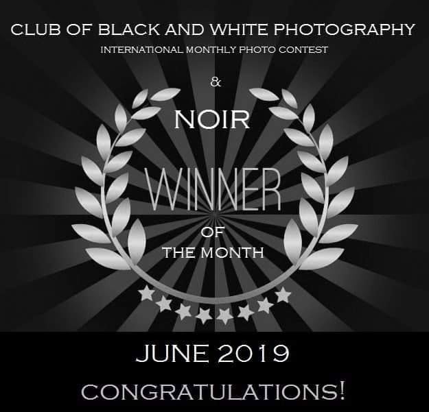 A text card naming the winner of the month for June 2019 in an international monthly photo contest.