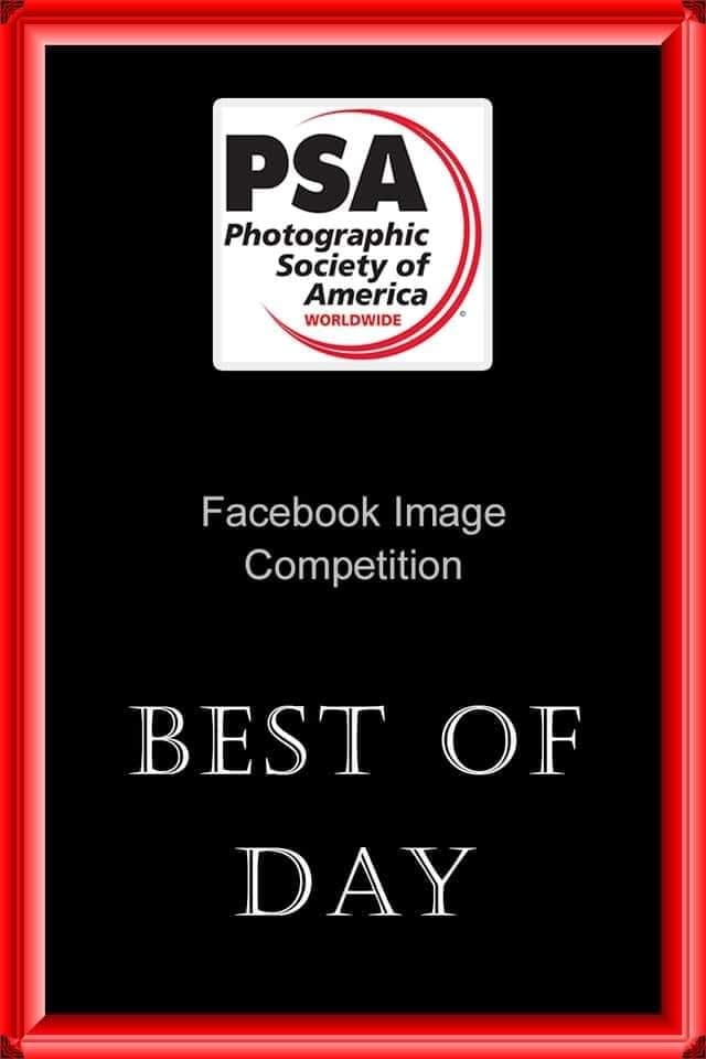 A Photographic Society of America card naming a best of day in its Facebook image competition.